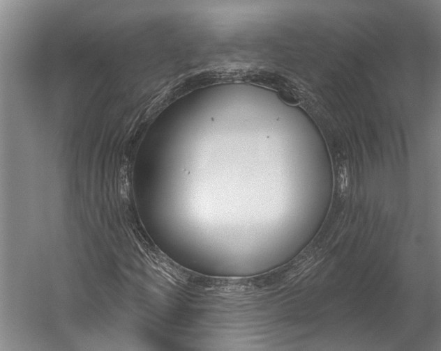 X0000056311204200509161608