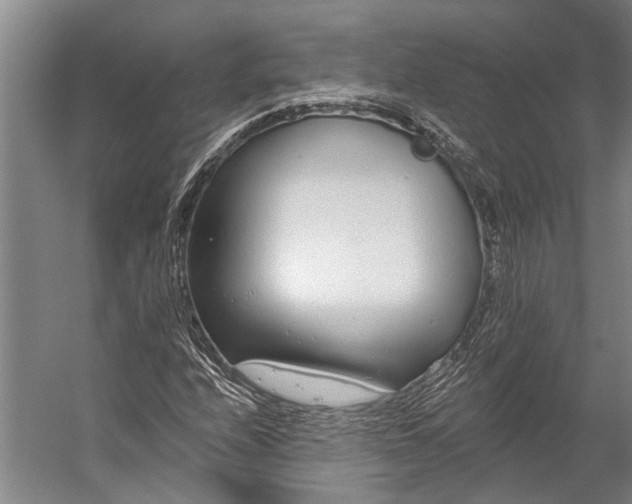 X0000056311208200509161608