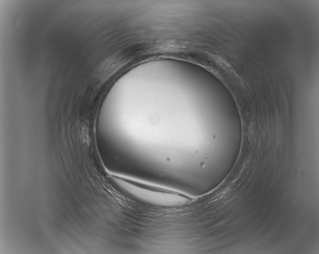 X0000056311209200509161608
