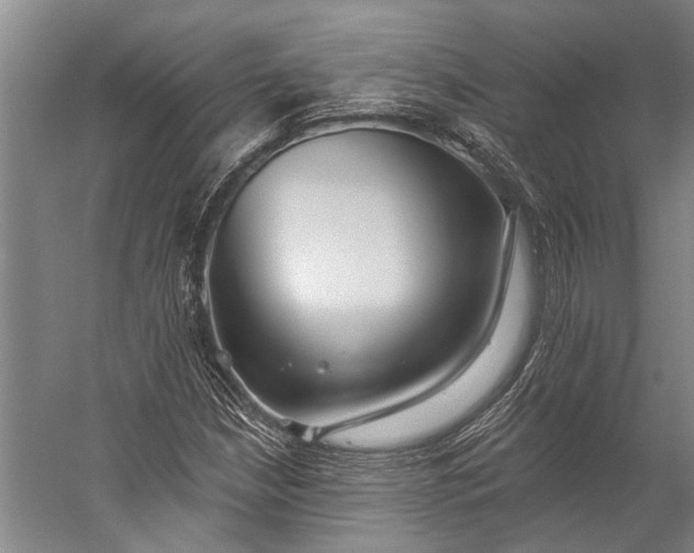 X0000056311210200509161608