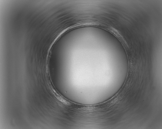 X0000056311236200509161609