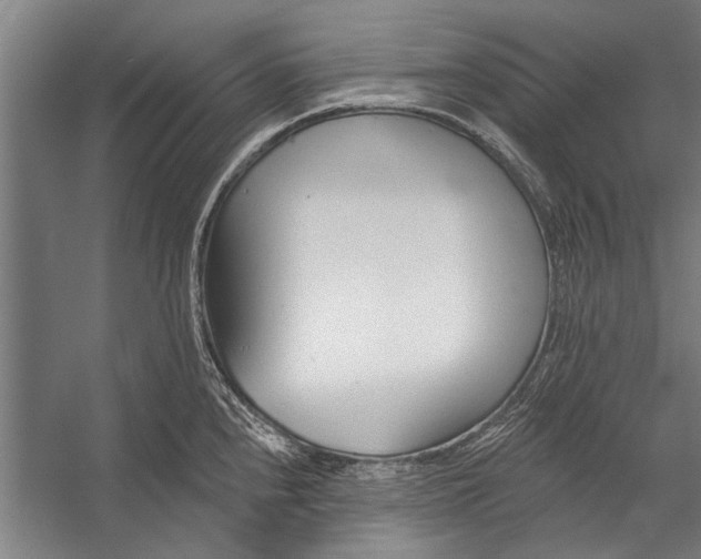 X0000056311240200509161609