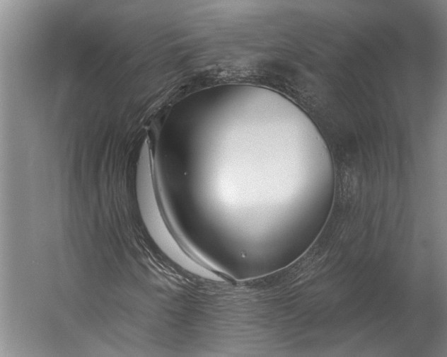 X0000056311250200509161608