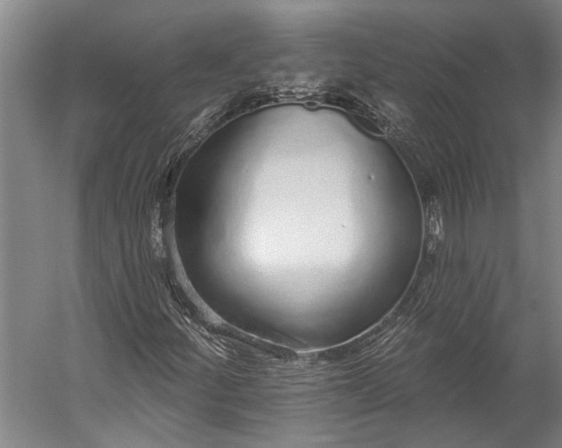 X0000056311252200509161608