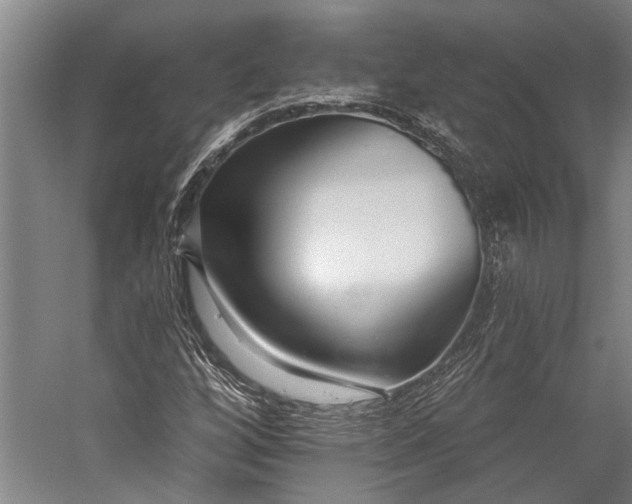 X0000056311256200509161608
