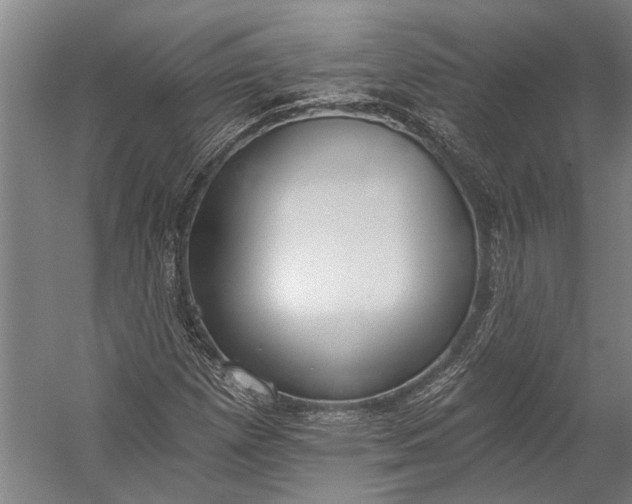 X0000056311257200509161608