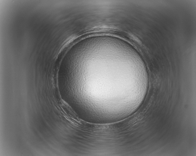 X0000056311259200509161608