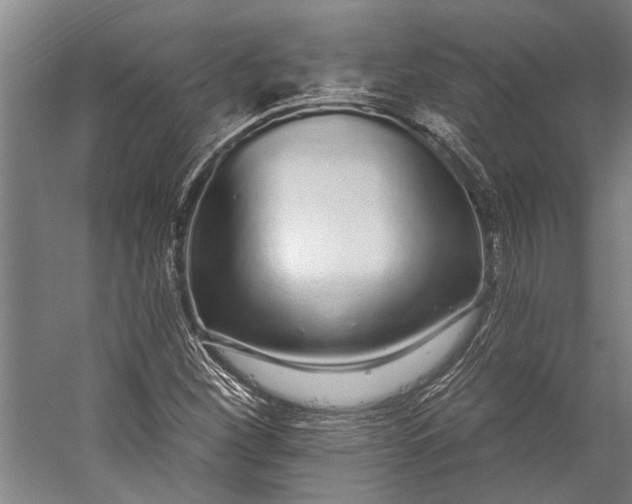 X0000056311260200509161608