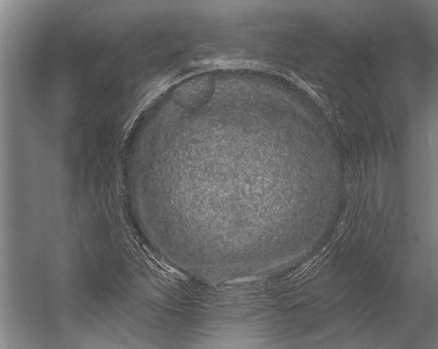 X0000056311263200509161608