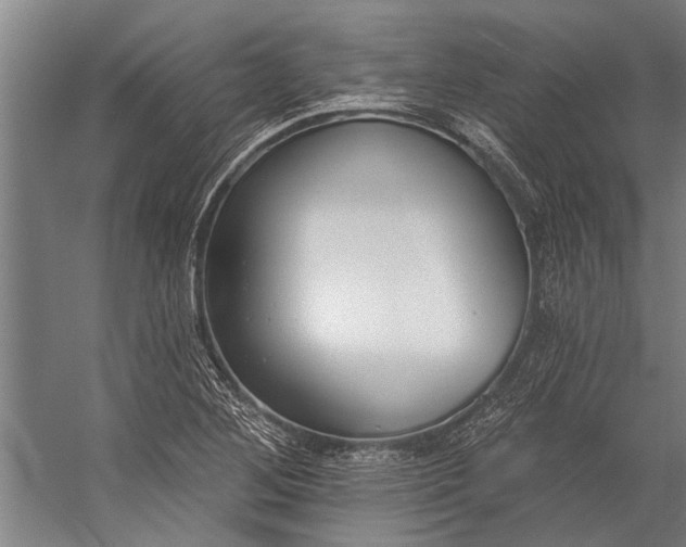 X0000056311268200509161608