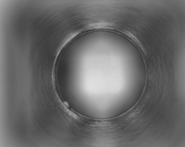 X0000056311285200509161607