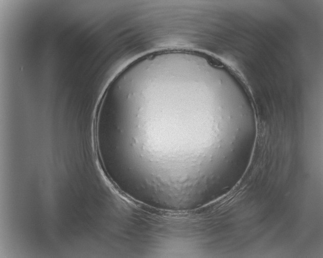 X0000056311295200509161607