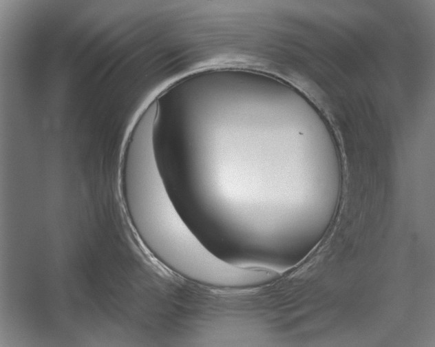 X0000056311296200509161607