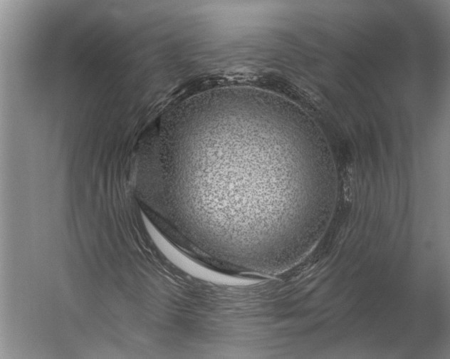 X0000056311298200509161606