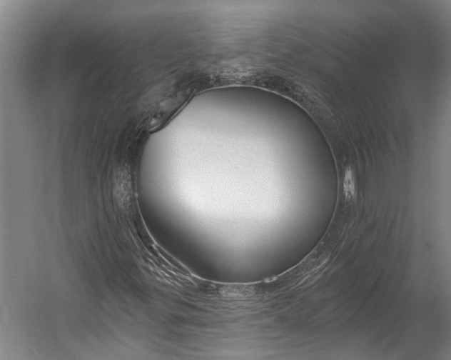 X0000056311299200509161606