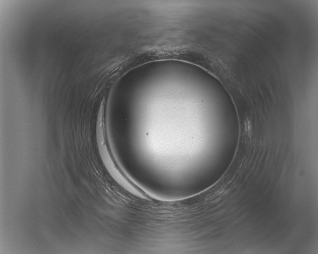 X0000056311300200509161606