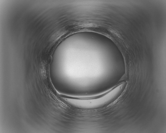X0000056311305200509161606