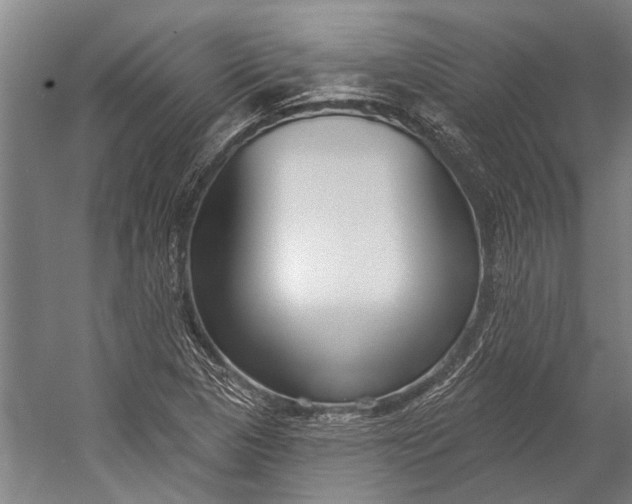 X0000056311313200509161607