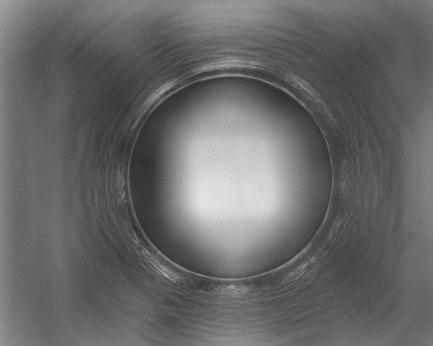 X0000056311321200509161607