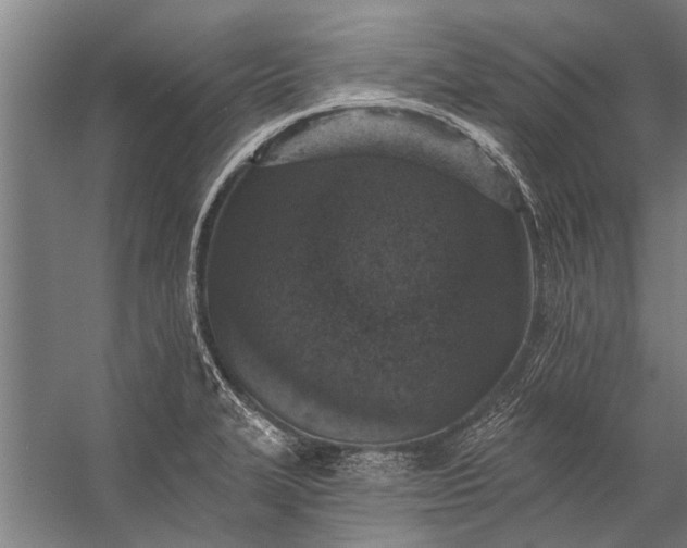 X0000056311327200509161607