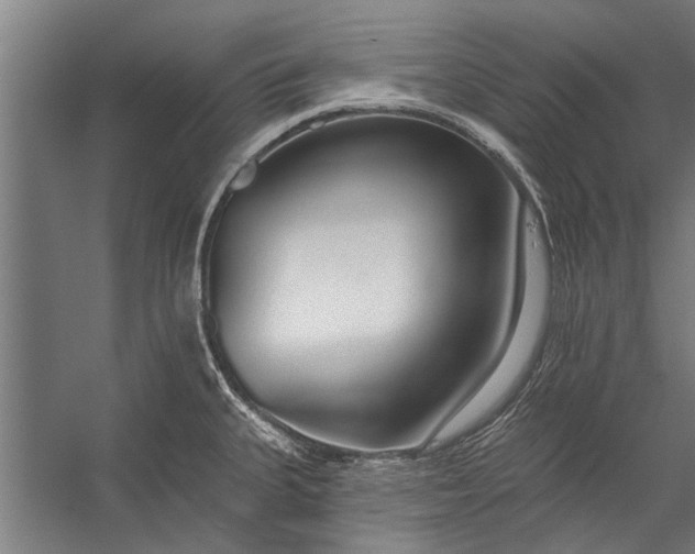 X0000056311335200509161607