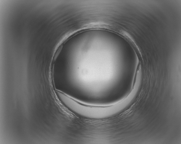 X0000056311336200509161607