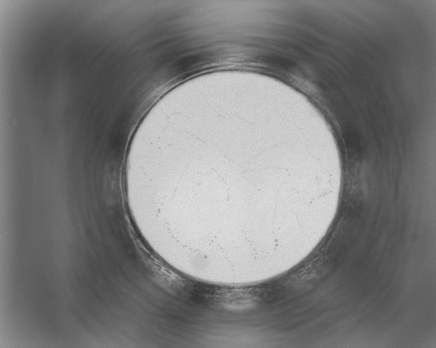 X0000056311338200509161607