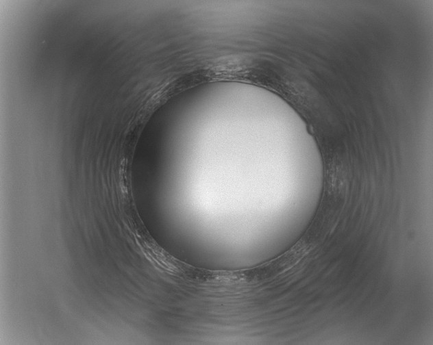 X0000056311346200509161606