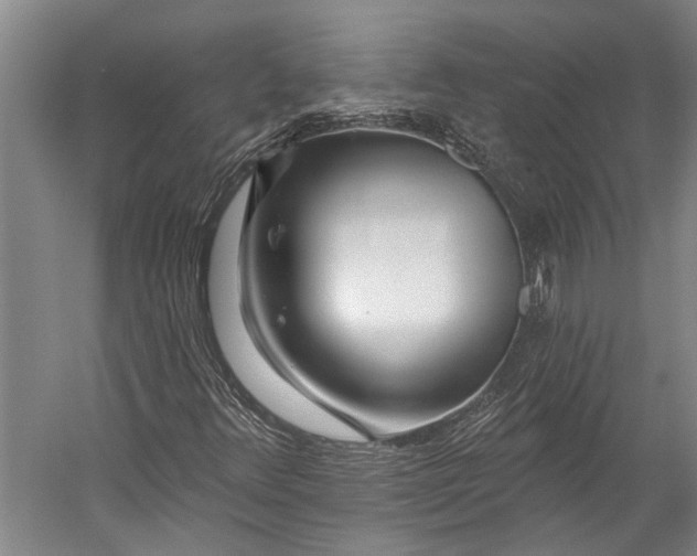 X0000056311348200509161606