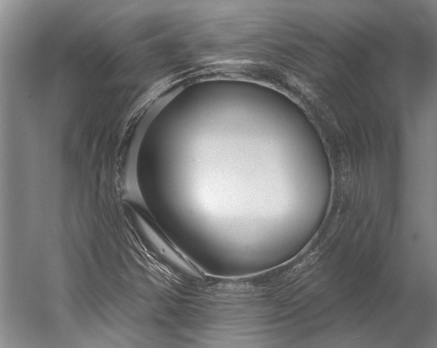X0000056311354200509161606