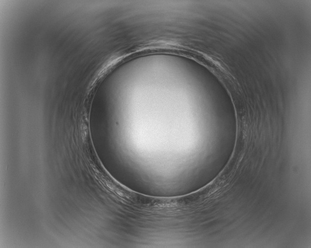 X0000056311363200509161606
