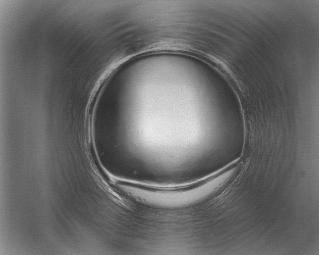 X0000056311371200509161606