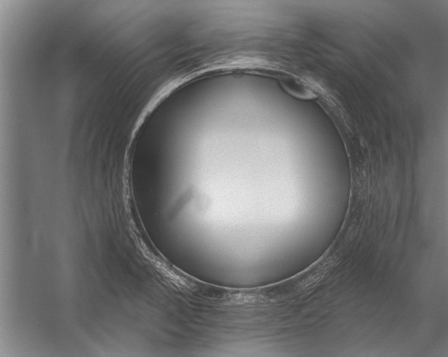 X0000056311374200509161606