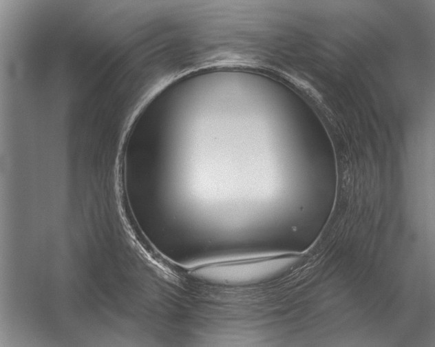 X0000056311375200509161606