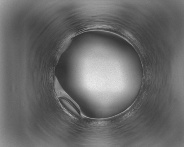 X0000056311377200509161606