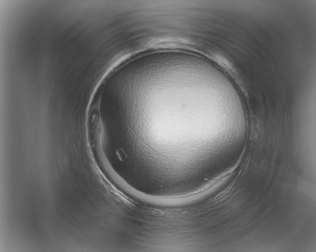X0000056311384200509161606