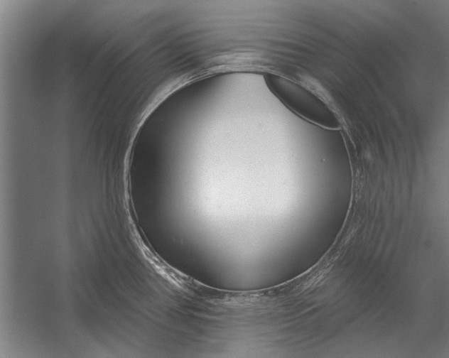 X0000056311386200509161606