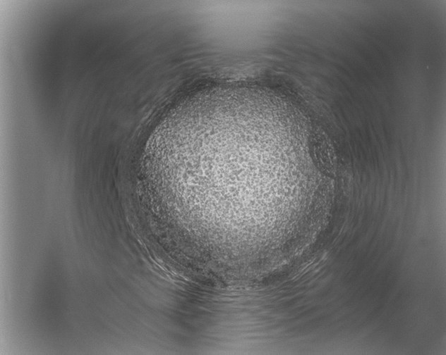 X0000056311393200509161605