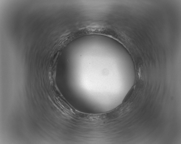 X0000056311396200509161605