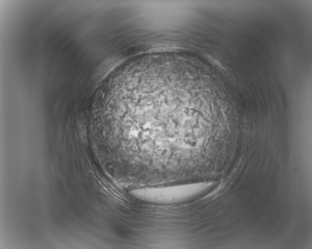 X0000056311401200509161605