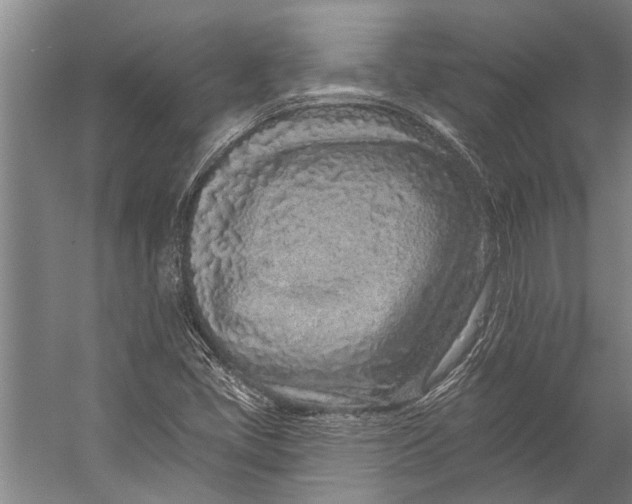 X0000056311405200509161605
