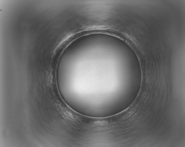 X0000056311406200509161605