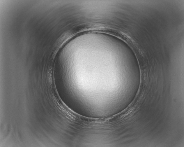 X0000056311409200509161605