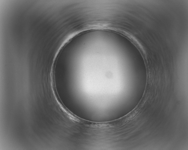 X0000056311432200509161605