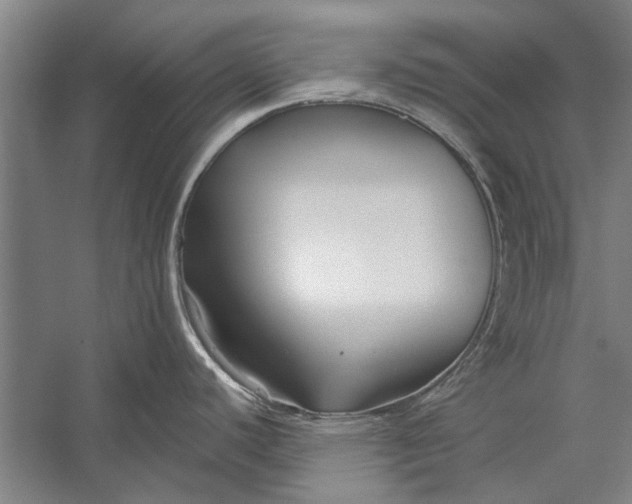 X0000056311440200509161605