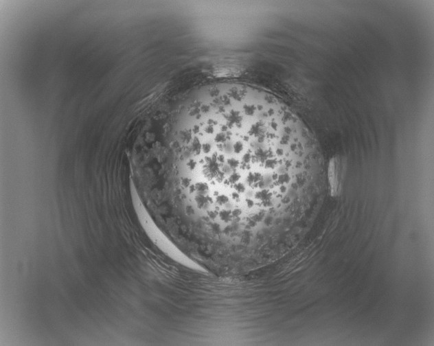 X0000056311443200509161605