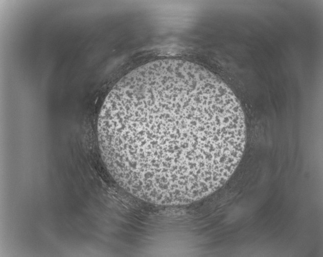 X0000056311446200509161605