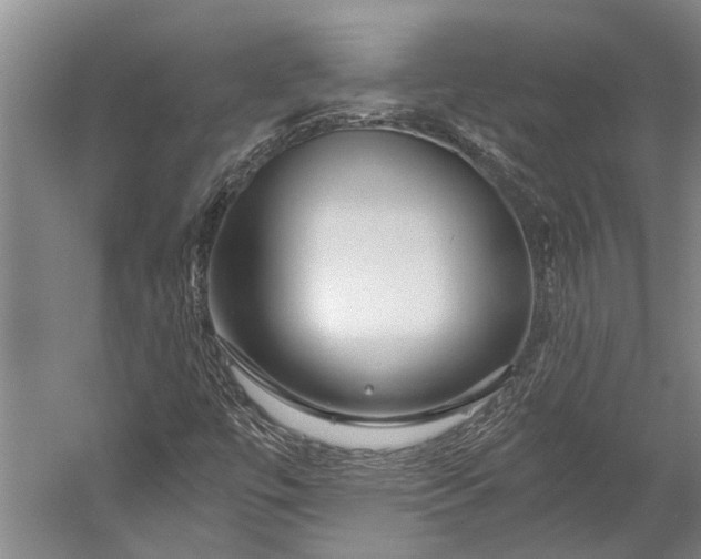 X0000056311447200509161605