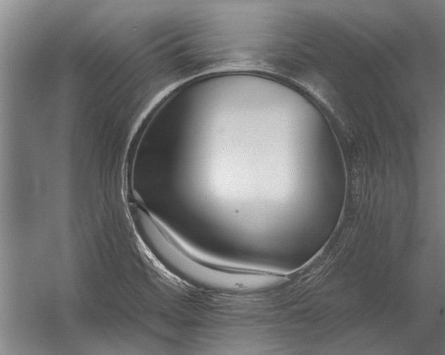 X0000056311468200509161604