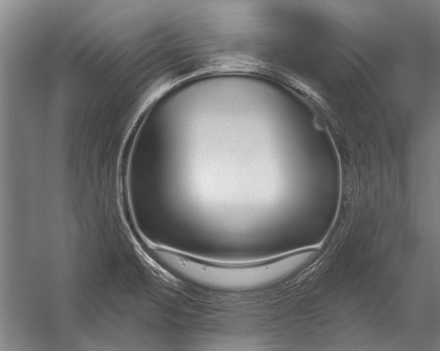 X0000056311471200509161604
